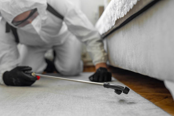 Professional Cockroach Control technician working in North Great River, NY